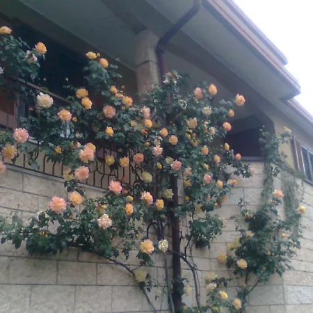 Bed & Breakfast Le Magnolie